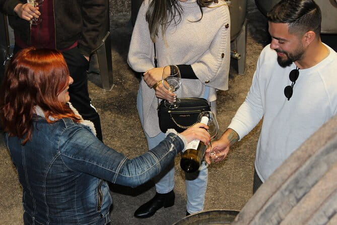 PREMIUM TASTING and TAPAS with GUIDED TOUR - Who Will Love This Tour?