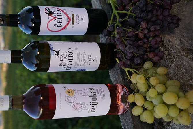 PREMIUM TASTING and TAPAS with GUIDED TOUR - FAQ