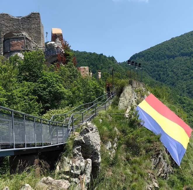 PREMIUM TOUR: Bears Safari on Transfagarasan Road - Discovering the Best of Romania’s Nature and Heritage