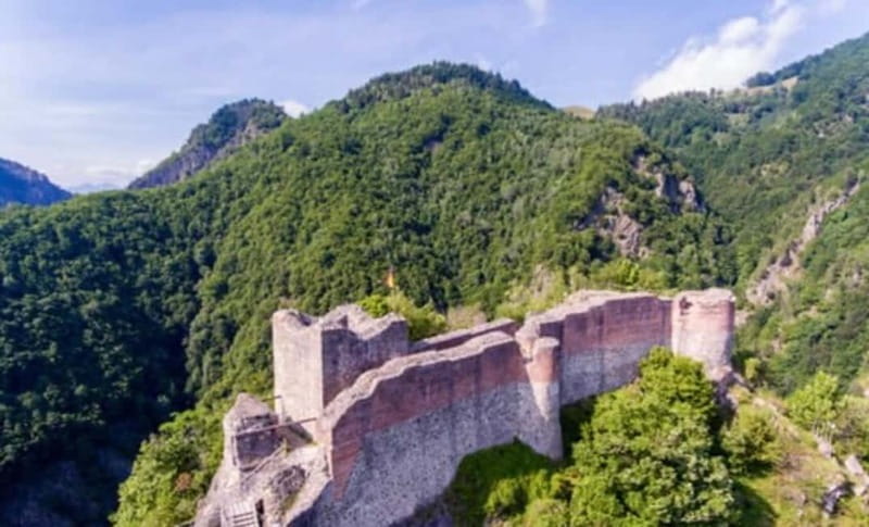 PREMIUM TOUR: Bears Safari on Transfagarasan Road - FAQ