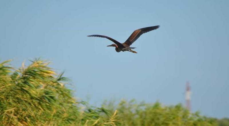 PREMIUM TOUR SMALL GROUP Bucharest-The Heart of Danube Delta - Entering The World of the Danube Delta