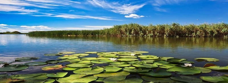 PREMIUM TOUR SMALL GROUP From Bucharest to the Danube Delta - Journey into the Heart of the Danube Delta
