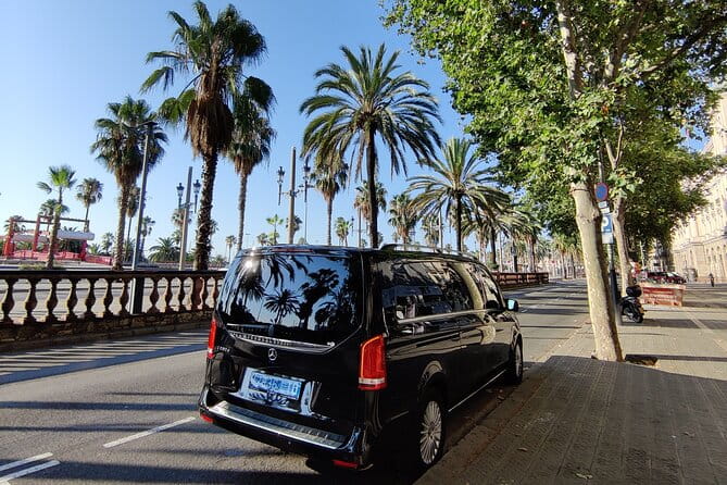 Premium Transfer from / to Airport and Port - Drivers Who Go the Extra Mile: Kevin and Others