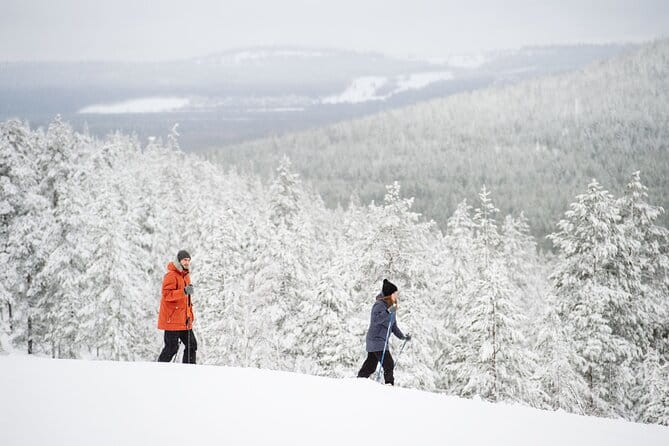 Premium Wilderness Skiing in Pyhä-Luosto National Park - The Journey Through Arctic Forests