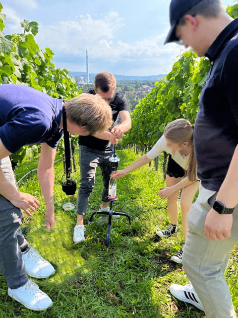 Premium wine hike Stuttgart with games and winemaker's snack - Exploring the Premium Wine Hike in Stuttgart