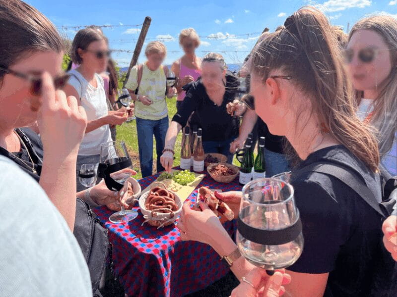 Premium wine hike Stuttgart with games and winemaker's snack - A Day in the Vineyards: What a Typical Tour Looks Like