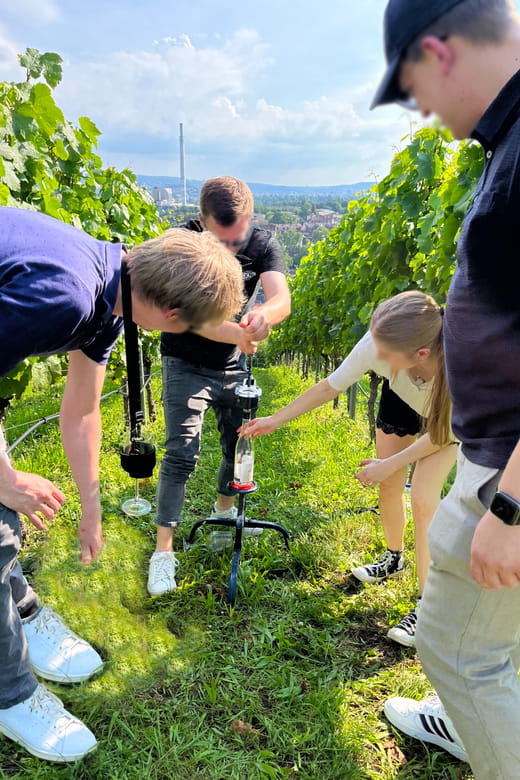 Premium wine hike Stuttgart with games and winemaker's snack - Who Is This Experience Best For?