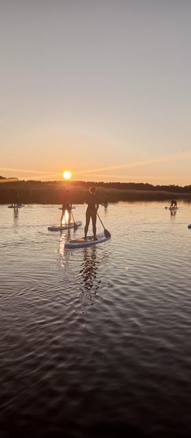 Prerow: Standup paddle sunset tour with picnic - Exploring the Sunset on the Prerowstrom