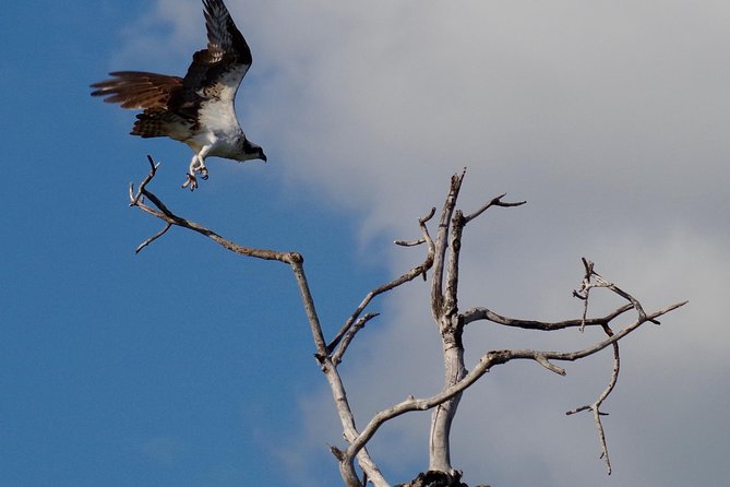 Prestige Catamaran Cruise to Catalina Island - Group Size and Bookings