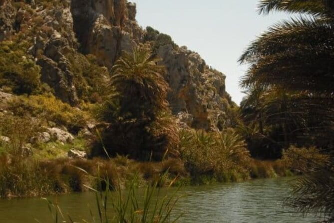 Preveli palm Beach & Damnoni Excursion - Who Will Love This Tour?