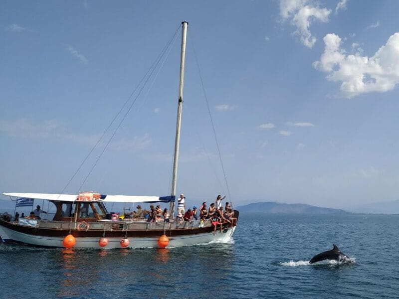 Preveza: Dolphin Watching Cruise with Lunch and Drinks - Who Will Love This Experience?