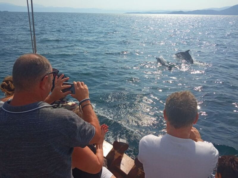 Preveza: Dolphin Watching Cruise with Lunch and Drinks - FAQ