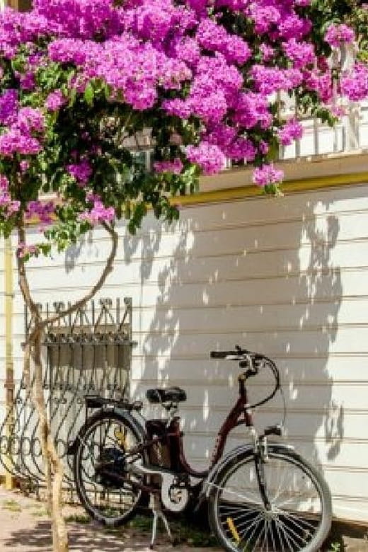 Prince's Island Group Tour - Key Points / Takeaways