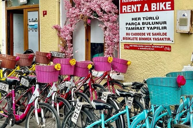 Princess Islands Daily Tour from Istanbul - Who Should Consider This Tour?