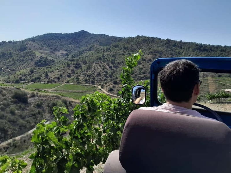 Priorat tour to 3 small wineries and hotel pick-up - Key points / Takeaways