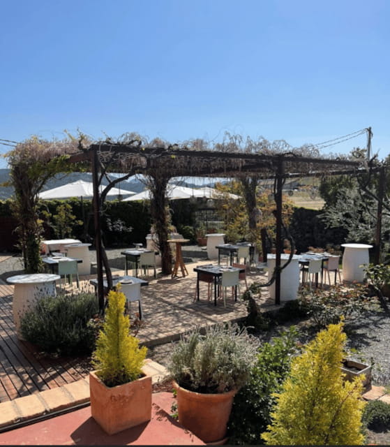 Priorat tour to 3 small wineries and hotel pick-up - Inside the Priorat Experience: A Deep Dive