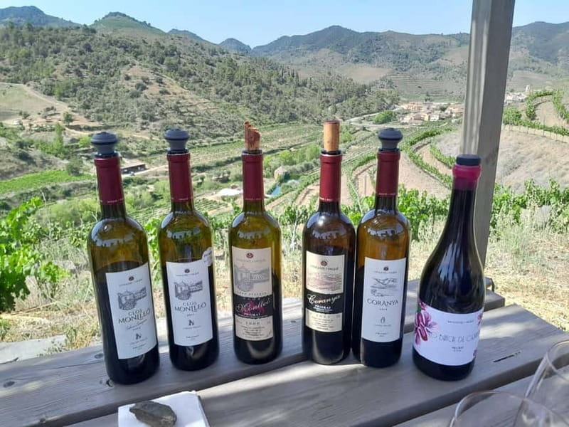 Priorat tour to 3 small wineries and hotel pick-up - Who Should Consider This Tour
