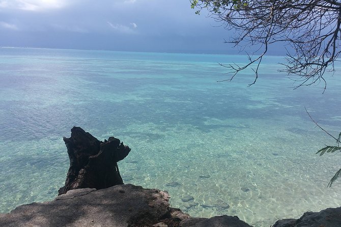 Prison Island Half-Day Tour From Zanzibar - Tour Duration and Activities