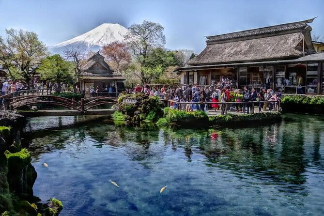 Private 1 Day Round Trip Tour From Tokyo to Mount Fuji - The Sum Up