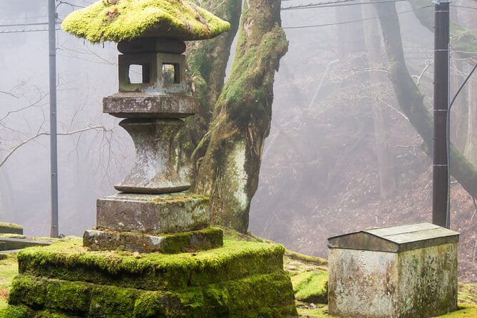 Private 1 Day Tour to Nikko: Onsen, UNESCO Shrines and Nature - What to Expect During Your Tour