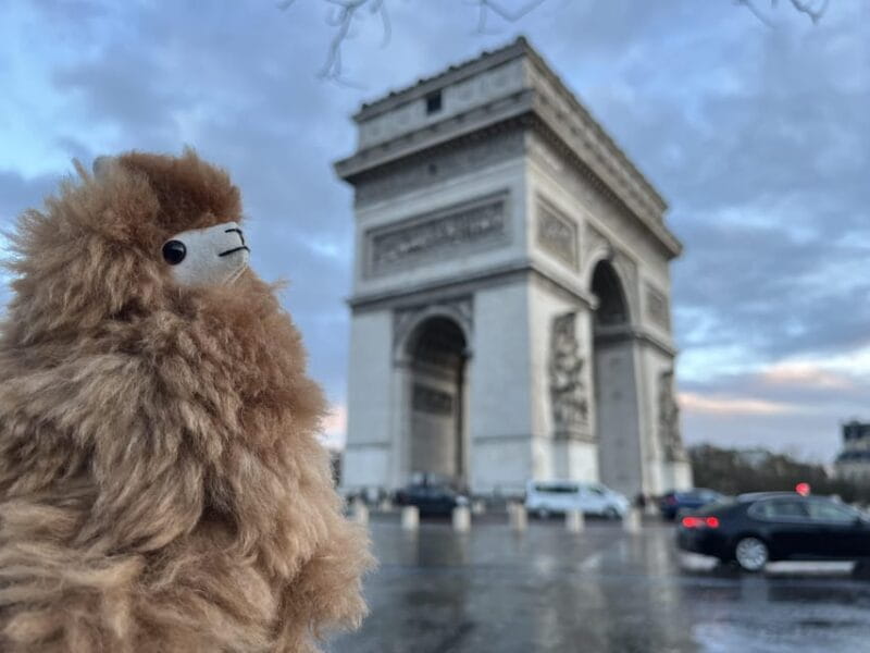 Private 2-3 hours Montmartre walking tour - Timeless charm - Key Points / Takeaways