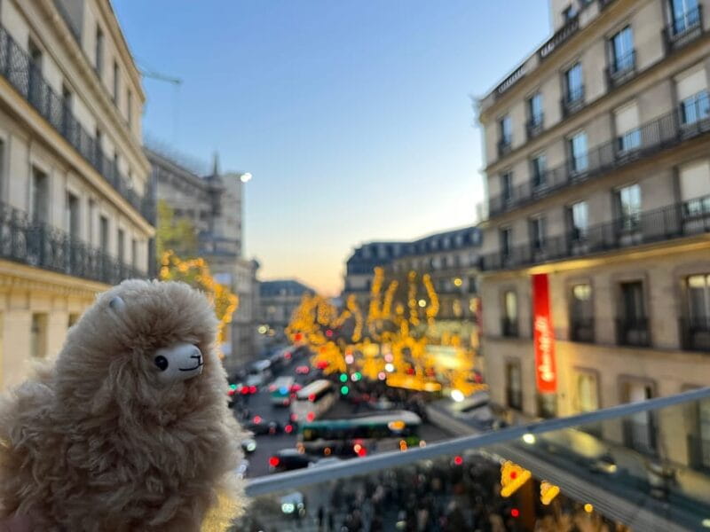 Private 2-3 hours Montmartre walking tour - Timeless charm - Meeting Point and Logistics: Starting at Place des Abbesses