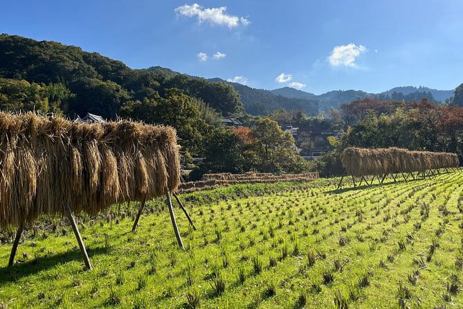 Private 2 Days Tour in Asuka Village Hidden Gems of Nara - Booking and Cancellation Policies