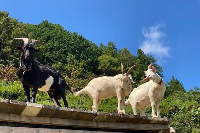 Private 2 Days Tour in Okayama - Schedule and Itinerary