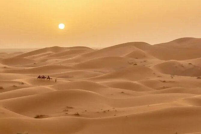 Private 3 Days Desert Tour From Fes to Marrakech - Tour Operator