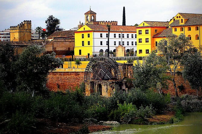 Private 3-hour Walking Tour of Cordoba with official tour guide - An In-Depth Look at the Tour Experience