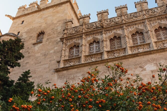 Private 3 hours Walking Tour in Valencia City - FAQs