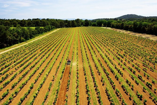 Private 4x4 Ride in a Wine Estate Followed by a Tasting - Maximum of 10 Travelers Allowed