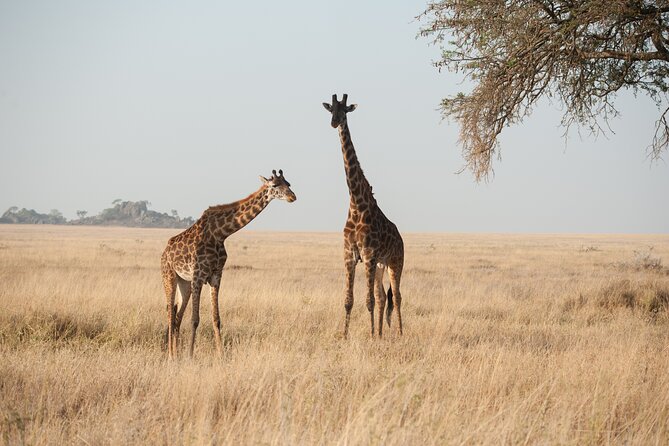 Private 7-Day Tanzania Camping Safari - Contact Information