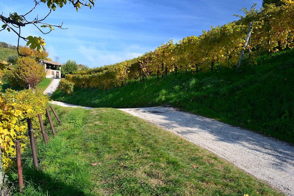 Private 7-Hour Prosecco Wine Tour From Venice - Tour Highlights