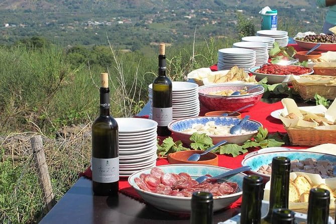Private 8-Hour Tour of Four Etna Wineries with Tasting - A Taste of Sicily’s Volcanic Wines: An Honest Look at the Private Etna Winery Tour