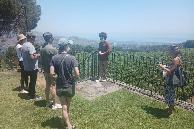Private 8-Hour Tour of Four Etna Wineries with Tasting - Price and Logistics: What You Need to Know