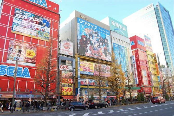 Private Akihabara Anime Guided Walking Tour - Tour Details