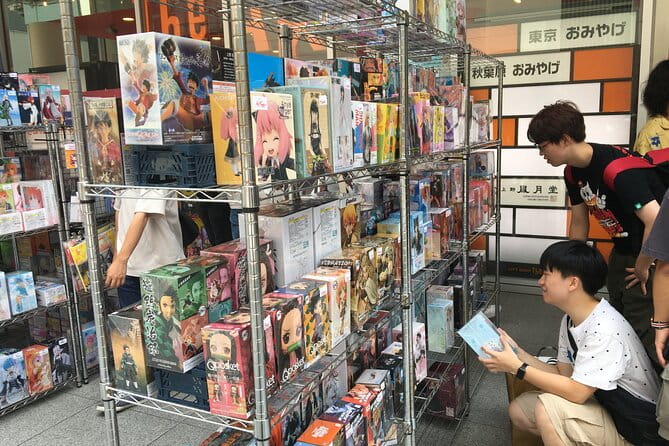 Private Akihabara Anime Guided Walking Tour - Accessibility