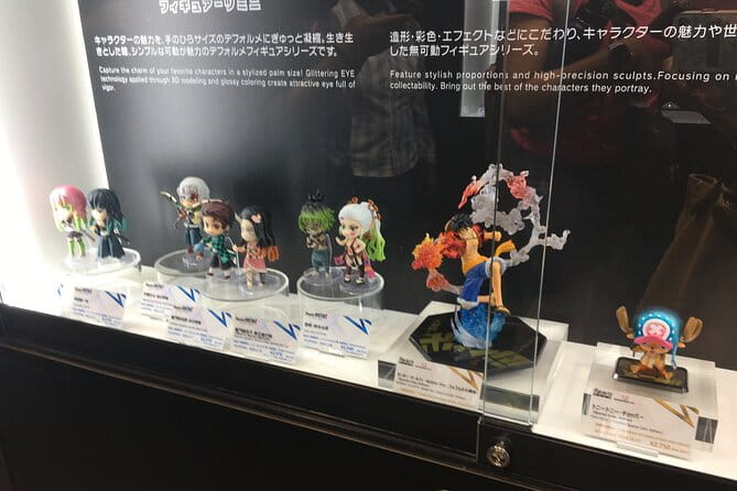 Private Akihabara Anime Guided Walking Tour - Highlights of the Tour