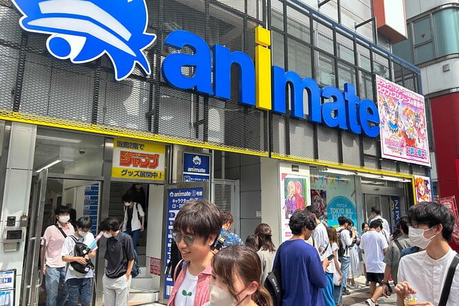 Private Akihabara Anime Guided Walking Tour - Making the Most of Your Experience