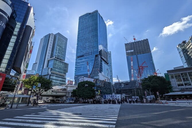 Private All Inclusive Neo Tokyo Tour on a Luxury Car - Convenient Meeting and Pickup Options