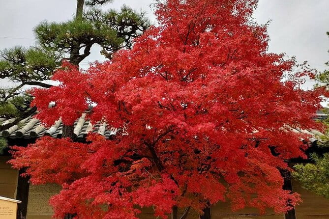 Private All Inclusive Neo Tokyo Tour on a Luxury Car - Frequently Asked Questions