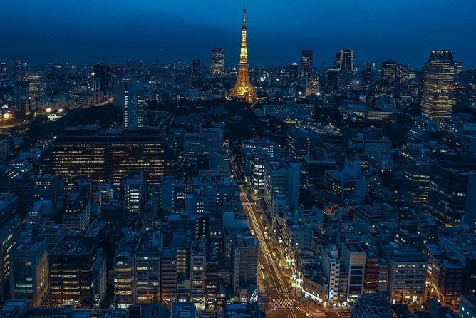 Private Amazing Tokyo Night Tour With English Speaking Driver - Accessibility Features