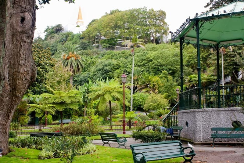 Private Angra do Heroísmo: Walking CityTour with Tasting - Key points / Takeaways