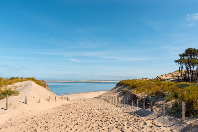 Private Arcachon Full-Day tour, from Bordeaux - Who This Tour Is Perfect For