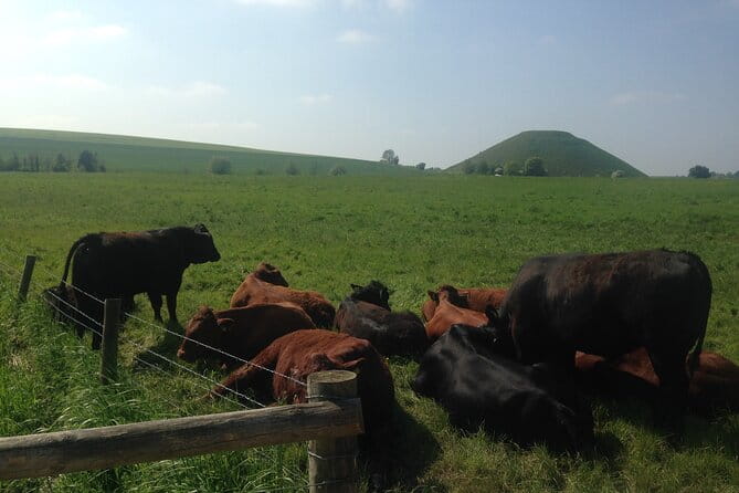 Private Archaeologist Guided Tour Stonehenge, Salisbury & Avebury - FAQ