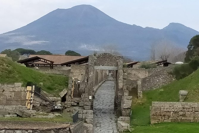 Private Archaeologist Service to Explore Pompeiis Secrets Any Time Ticket Incl. - Booking and Cancellation Policy