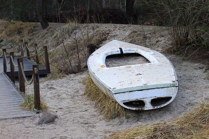 Private audio book city rally around the Rombergpark in Dortmund - An In-Depth Look at the Rombergpark Audio-Guided Rally