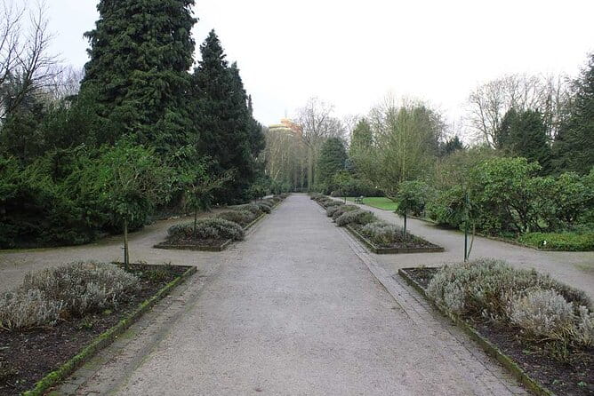 Private audio book city rally around the Rombergpark in Dortmund - Final Thoughts: Who Should Consider This Tour?