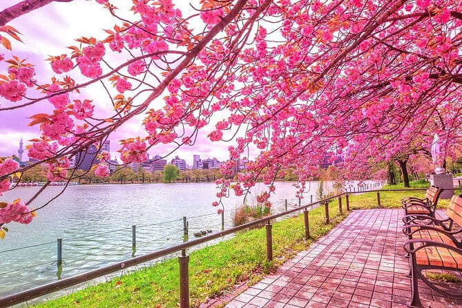 Private Audio Guided Walking Tour in Tokyo - Key Points